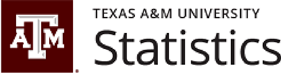 Texas A&M Statistics Department